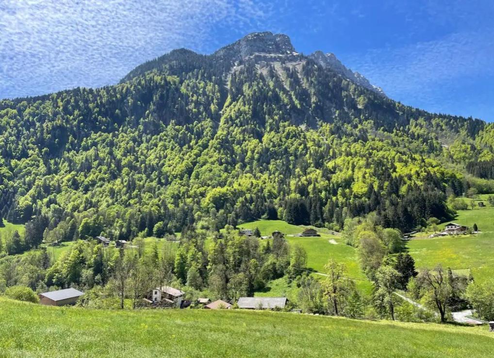 Apartment Le Des Reves - La Roche Blanche